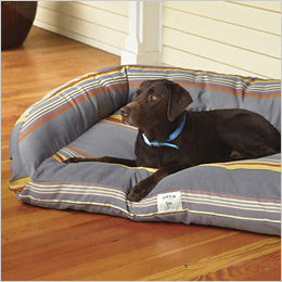 Doggy Beds by Orvis