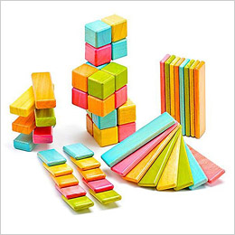 Magnetic Block Set by Tegu
