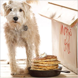 Dog-Gone Good Cookbook