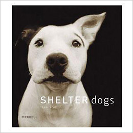 Shelter Dogs Book for ASPCA
