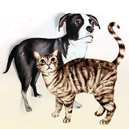 Dog-ese & Cat-ese: Learn To Speak Their Language