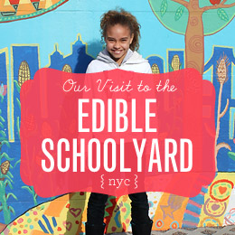 The Edible Schoolyard NYC