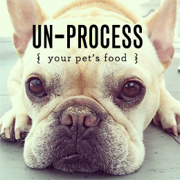 Un-process Your Pet’s Food