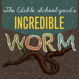 Make Nice Mission: Day In The Life Of A Worm