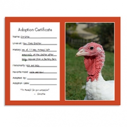 Farm Sanctuary Gift Adoption