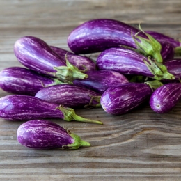 Fairy Tale Eggplant