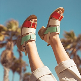 Vegan Shoes