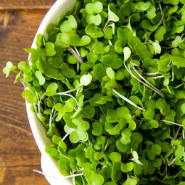 Microgreens