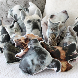 Pet Pillows